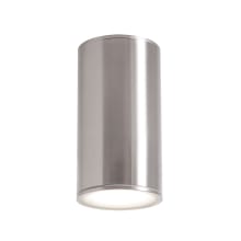Everly 8" Tall LED Flush Mount Outdoor Ceiling Fixture