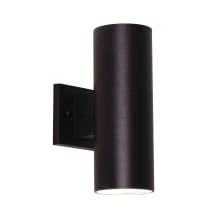 Everly 12" Tall 2 Light LED Outdoor Wall Sconce
