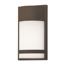 Paxton Single Light 18" Tall LED Outdoor Wall Sconce