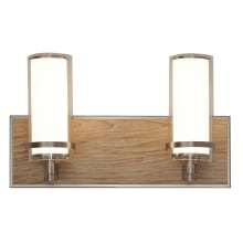 Arden 2 Light 16" Wide Integrated LED Bathroom Vanity Light