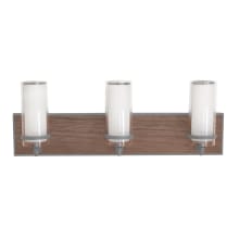 Arden 3 Light 24" Wide Integrated LED Bathroom Vanity Light