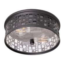 Roscoe 2 Light 11" Wide Flush Mount Drum Ceiling Fixture with Seedy Glass Shade