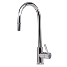 Pullout Spray Kitchen Faucet