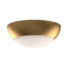 Rubio 2 Light 12" Wide Flush Mount Bowl Ceiling Fixture with Opal Glass Shade