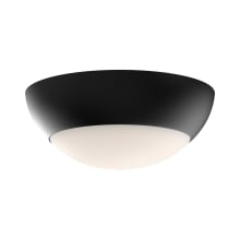 Rubio 2 Light 12" Wide Flush Mount Bowl Ceiling Fixture with Opal Glass Shade