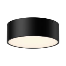 Brisbane 2 Light 12" Wide Flush Mount Drum Ceiling Fixture