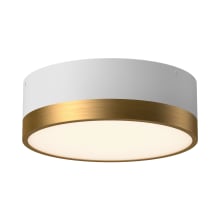 Brisbane 2 Light 12" Wide Flush Mount Drum Ceiling Fixture