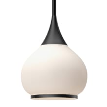 Hazel 10" Wide Pendant with Opal Glass Shade