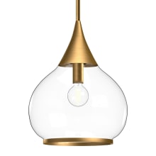 Hazel 14" Wide Pendant with Clear Glass Shade