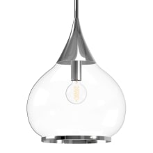 Hazel 14" Wide Pendant with Clear Glass Shade