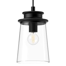 Quincy 6" Wide Outdoor Mini Pendant with Clear Glass Shade
