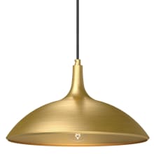 Abel 14" Wide Pendant with Aluminum Shade