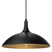 Abel 14" Wide Pendant with Aluminum Shade