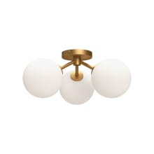 Cassia 3 Light 18" Wide Semi-Flush Ceiling Fixture with Opal Glass Shades