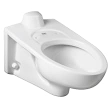 Afwall Millennium Elongated Toilet Bowl Only With Rear Spud, EverClean Surface, and Slotted Rim For Bedpan Holding - Less Seat and Flushometer