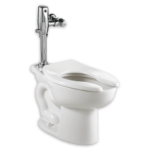 Madera 1.6 GPF Elongated One-Piece Toilet with Top Spud, EverClean Surface, and Selectronic Flushometer - Less Seat