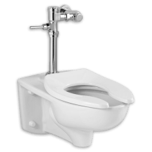 Afwall Elongated One-Piece Toilet with EverClean Surface