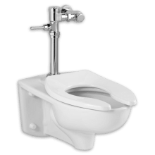 Afwall Elongated One-Piece Toilet with EverClean Surface With Manual Flushometer - Less Seat