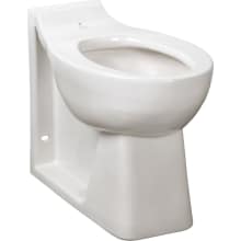 Huron Elongated Toilet Bowl Only With Rear Spud and Seat - Less Flushometer