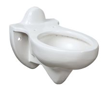 Rapidway Wall Mounted Elongated Bowl Only With Rear Spud - Less Seat and Flushometer