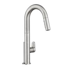 Beale Single-Handle Pull Down Kitchen Faucet