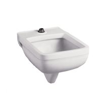 Clinic Service Wall Mounted Utility Sink with Single Faucet Hole and 21-1/8" Length