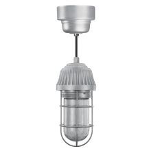 Easy Order RLM 5" Wide Single Light LED Mini Pendant with Black Hanging Cord and Vapor Tight Glass Shade and Glass Guard and Ballast Canopy