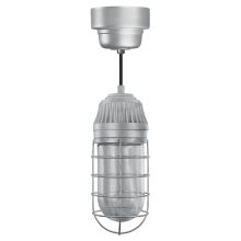 Easy Order RLM 6" Wide Single Light LED Mini Pendant with Black Hanging Cord and Vapor Tight Glass Shade and Glass Guard and Ballast Canopy