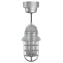 Easy Order RLM 7" Wide Single Light LED Mini Pendant with Black Hanging Cord and Vapor Tight Glass Shade and Glass Guard and Ballast Canopy