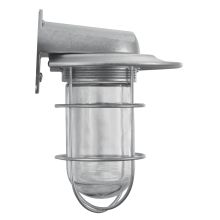 Easy Order RLM Single Light 10" Tall Outdoor Wall Sconce with Wire Glass Guard and Shade Ring