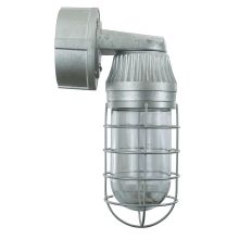 Easy Order RLM Single Light 13" Tall LED Outdoor Wall Sconce with Wire Glass Guard and Ballast Canopy