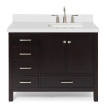 Cambridge 43" Free Standing Single Basin Vanity Set with Cabinet, Quartz Vanity Top, and Rectangular Sink