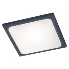 Trave Single Light 9-3/4" Wide Integrated LED Outdoor Semi-Flush Square Ceiling Fixture