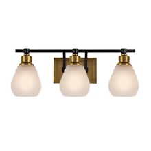 Nelson 3 Light 22" Wide Vanity Light