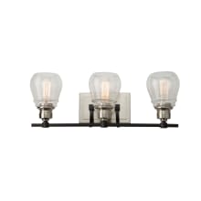 Nelson 3 Light 22" Wide Vanity Light