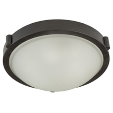 Boise 2 Light Flush Mount Ceiling Fixture