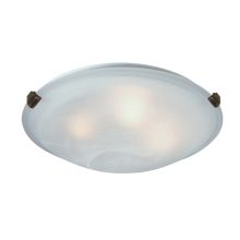 2 Light Flush Mount Ceiling Fixture