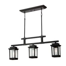 Freemont 3 Light 35" Wide Linear Outdoor Chandelier