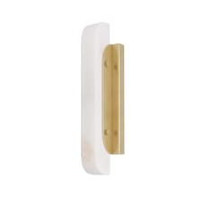 18" Tall LED Wall Sconce