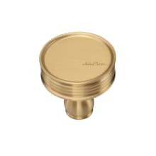 Solid Brass 1-1/4 Inch Mushroom Cabinet Knob