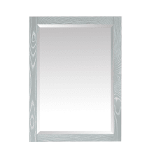 Riley 32" x 24" Rectangular Framed Beveled Edge Mirror