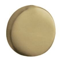 Contemporary Style Brass Screw Cover