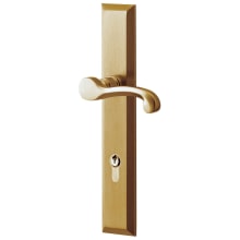 Concord Door Configuration 1 Keyed Entry Multi Point Trim Lever Set with European Cylinder Below Handle