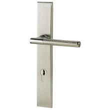 Lakeshore Door Configuration 4 Inactive Multi Point Trim Lever Set with Euro Profile Cylinder Below Handle