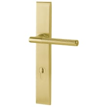 Lakeshore Door Configuration 4 Patio Multi Point Trim Lever Set with Euro Profile Cylinder Below Handle