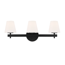 3 Light 24" Wide Vanity Light with Frosted Glass Shades