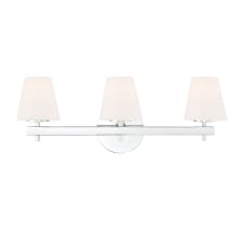 3 Light 24" Wide Vanity Light with Frosted Glass Shades