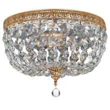 2 Light 10" Wide Flush Mount Ceiling Fixture with Crystal Shades