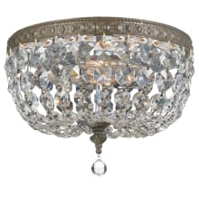 2 Light 10" Wide Flush Mount Ceiling Fixture with Crystal Shades