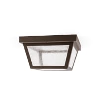 Stanhope 9" Wide Flush Mount Seedy Glass Outdoor Ceiling Fixture